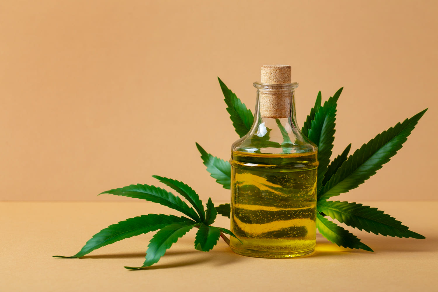 cbd vs thc